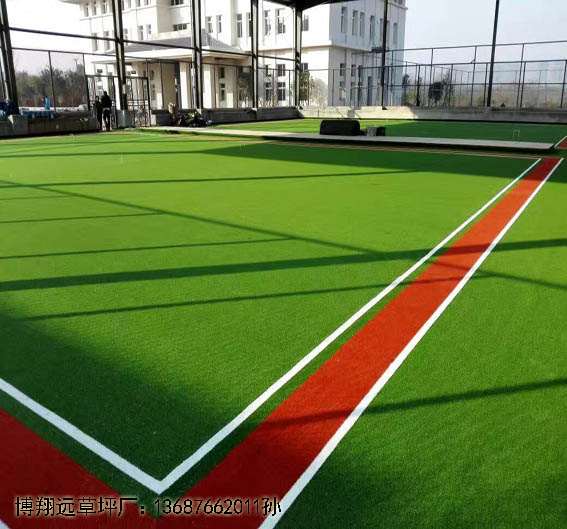 门球场绿草坪@乡宁县地毯销售